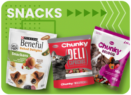 Snaks